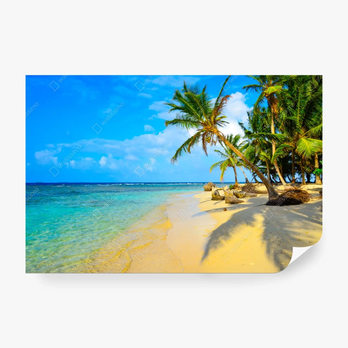 Wall mural tropical turquoise beach paradise • Wallissimo®