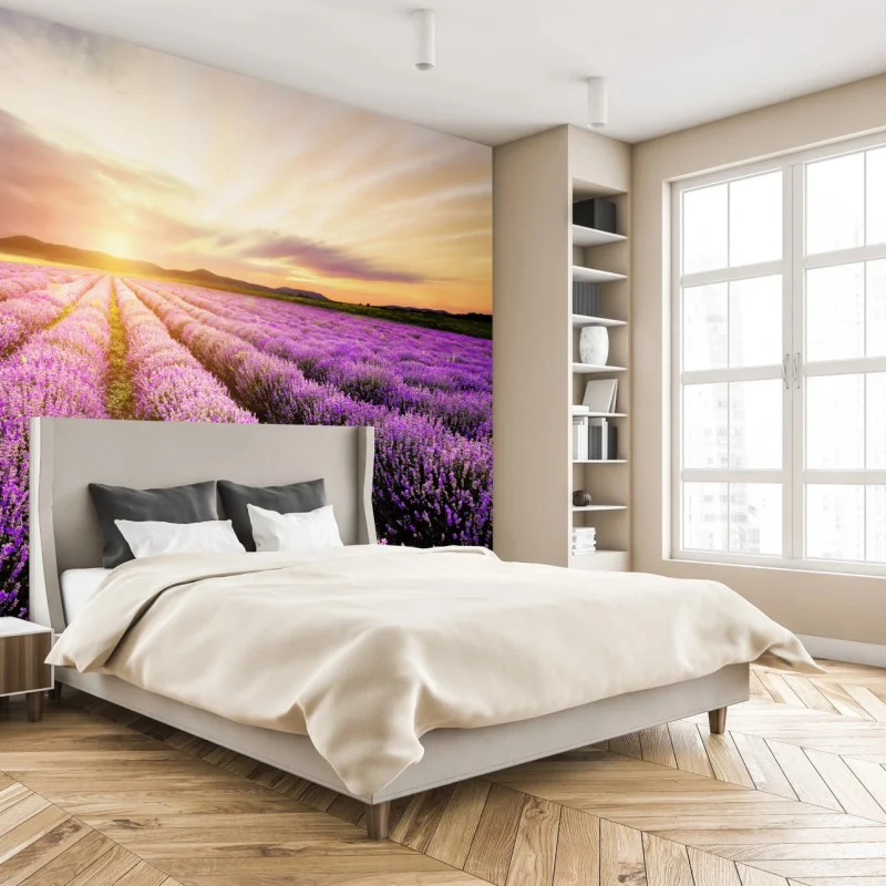 Wall mural sunrise over lavender fields, Bulgaria