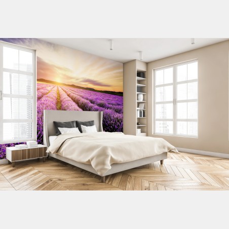 Wall mural sunrise over lavender fields, Bulgaria • Wallissimo®