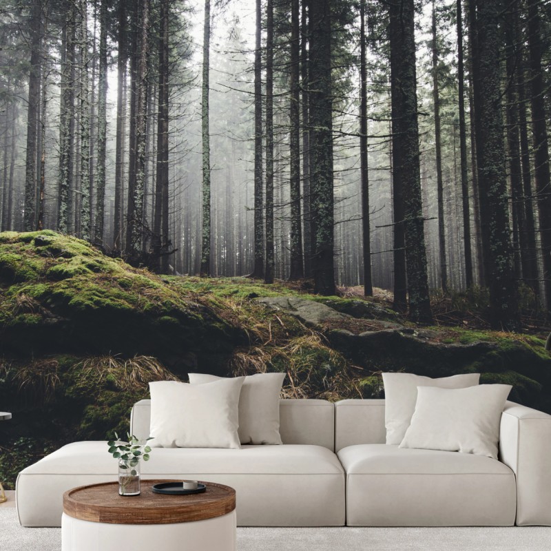 Wall mural misty mossy forest landscape