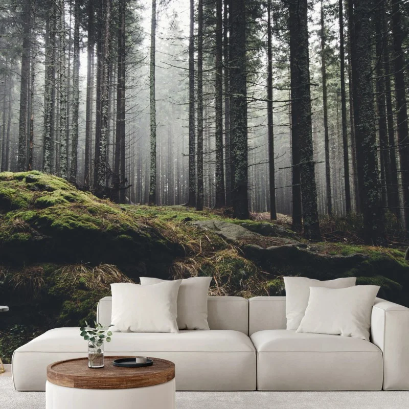Wall mural misty mossy forest landscape