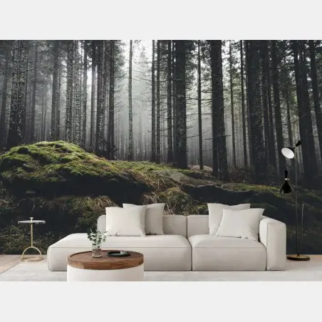 Wall mural misty mossy forest landscape • Wallissimo®