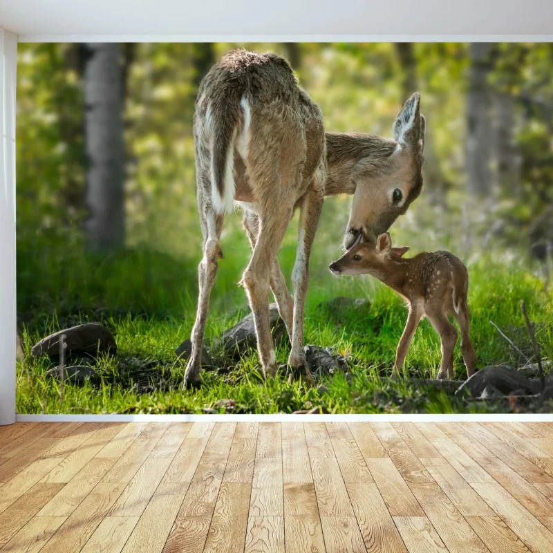 Wall mural mother deer and fawn in a sunlit forest