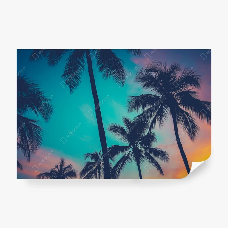 Wall mural vintage palm trees in Hawaii at sunset