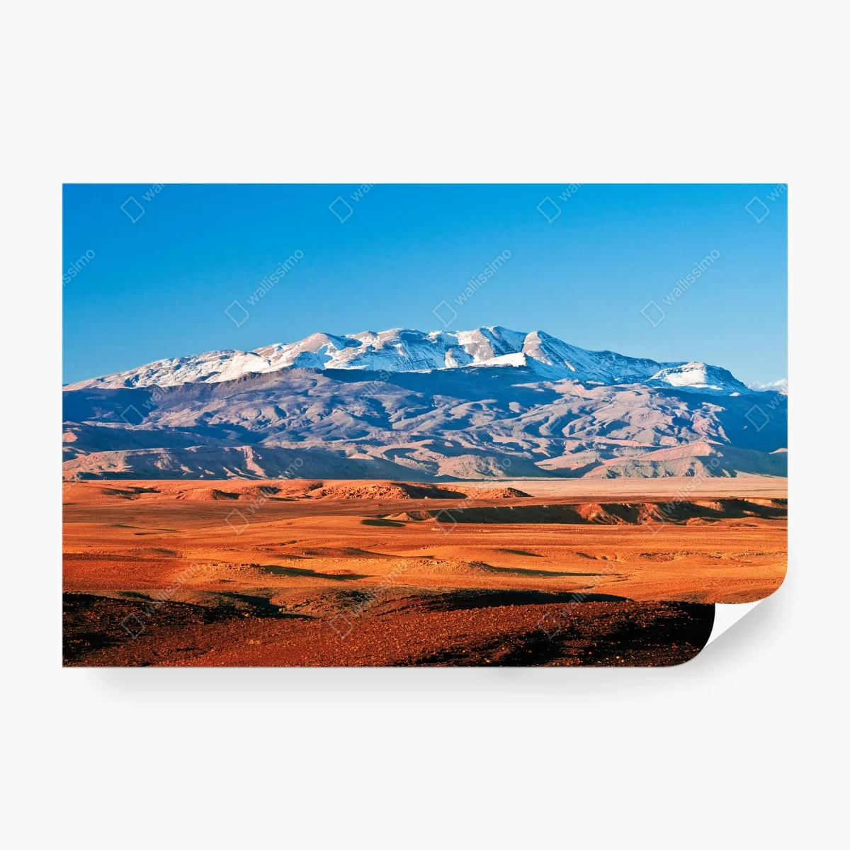 Wall mural sunlit desert with snow-capped mountains • Wallissimo® Wall mural sunlit desert with snow-capped mountains • Wallissimo®