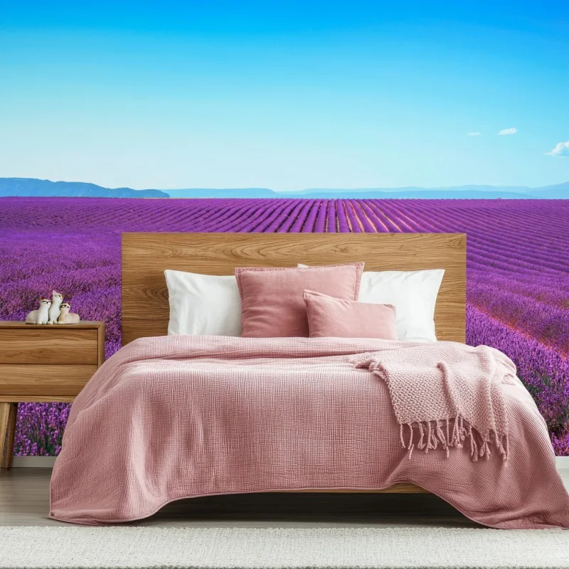 Wall mural lavender fields under blue sky