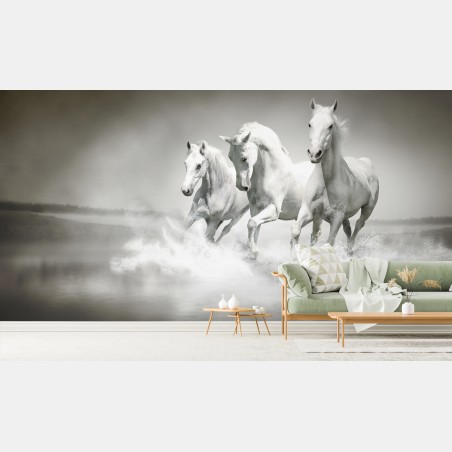 Wall mural three white horses running through water • Wallissimo®