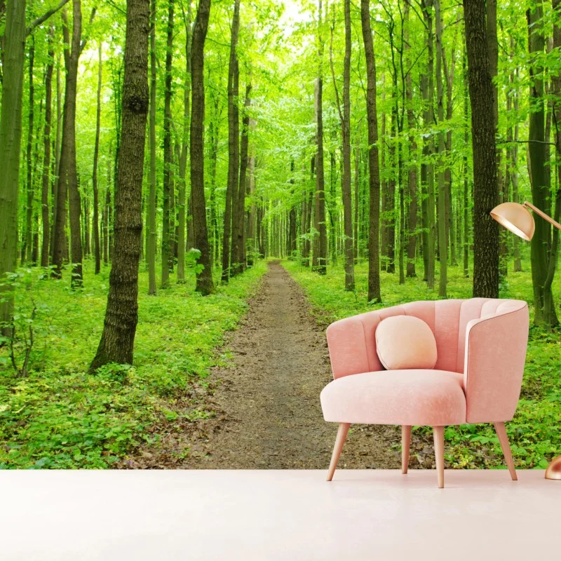 Wall mural serene green forest path