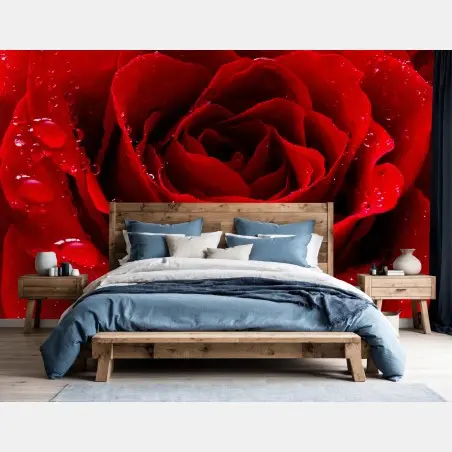 Wall mural vibrant red rose close-up • Wallissimo®