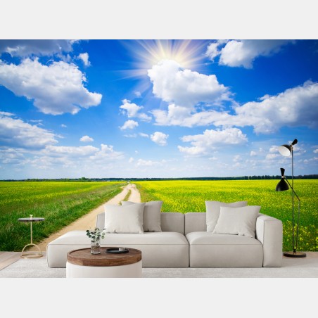 Wall mural yellow rapeseed field under a blue sky • Wallissimo®