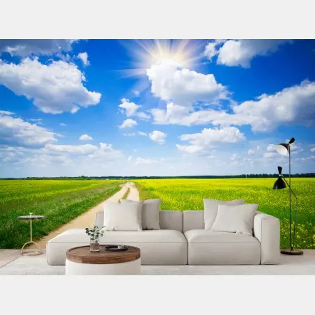 Wall mural yellow rapeseed field under a blue sky • Wallissimo®