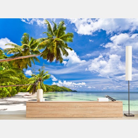 Wall mural tropical palm beach paradise • Wallissimo®