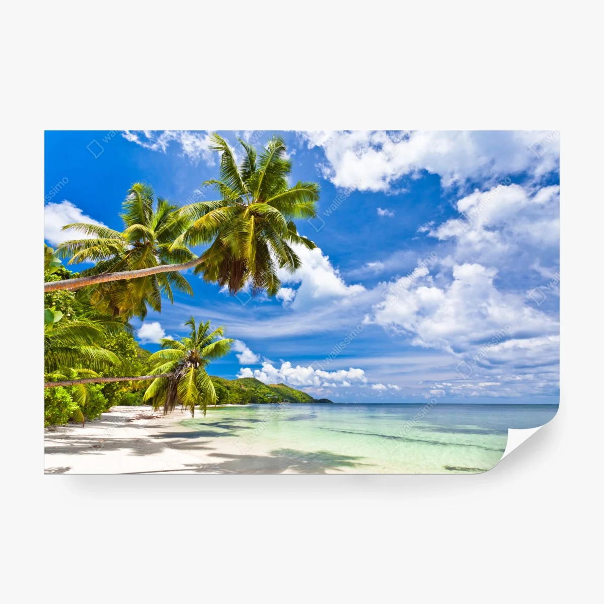 Wall mural tropical palm beach paradise • Wallissimo® Wall mural tropical palm beach paradise • Wallissimo®