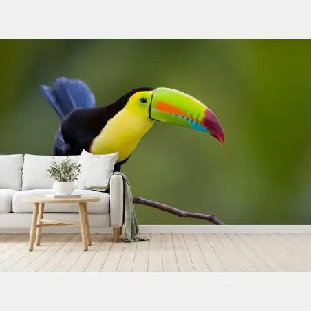 Wall mural vibrant keel-billed toucan portrait • Wallissimo®