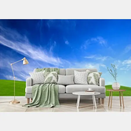 Wall mural sunlit green meadow under blue sky • Wallissimo®