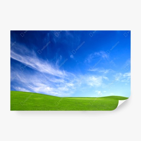 Wall mural sunlit green meadow under blue sky • Wallissimo®