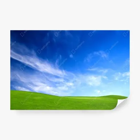 Wall mural sunlit green meadow under blue sky • Wallissimo®
