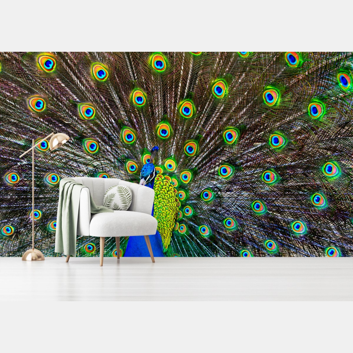 Wall mural vibrant peacock feather display • Wallissimo®