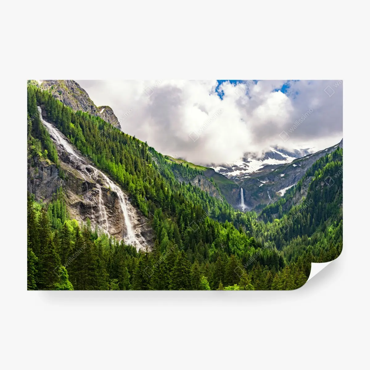 Wall mural misty alpine waterfalls over lush pine valley • Wallissimo®