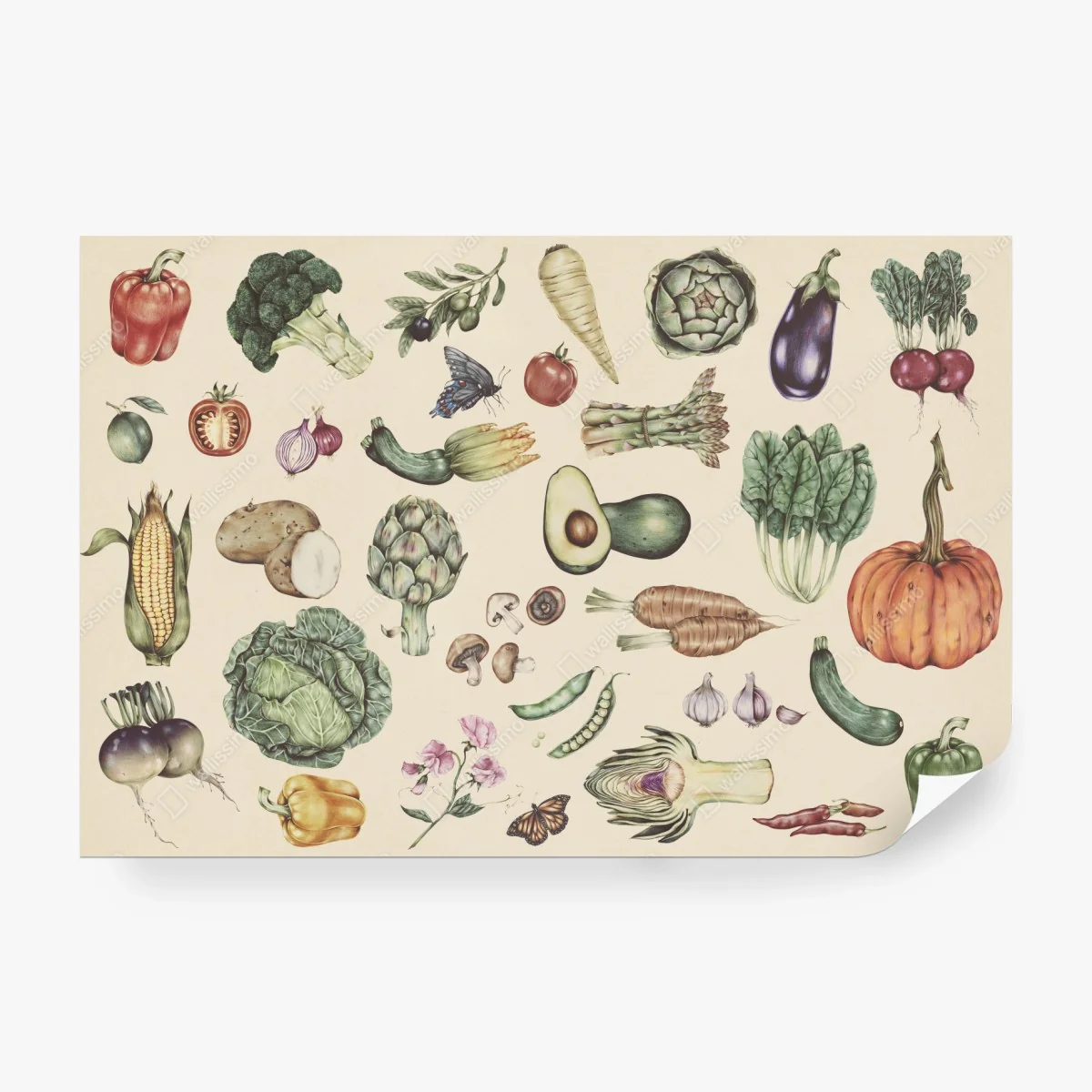 Wall mural hand-drawn vegetable botanical print ⁕ Wallissimo®