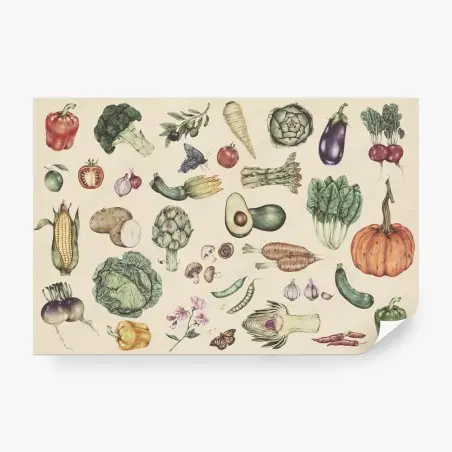 Wall mural hand-drawn vegetable botanical print • Wallissimo®