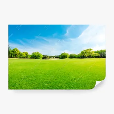 Wall mural serene green meadow under a blue sky • Wallissimo®