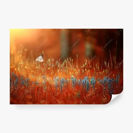 Wall mural butterfly in a golden meadow • Wallissimo®