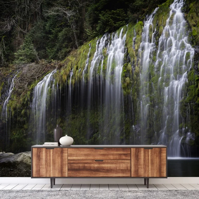 Wall mural mossy waterfall in forest