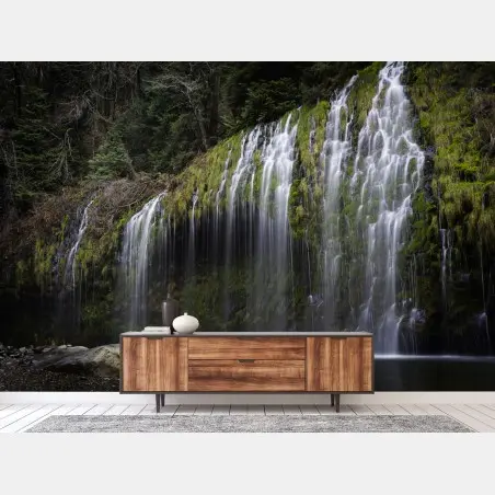 Wall mural mossy waterfall in forest • Wallissimo®