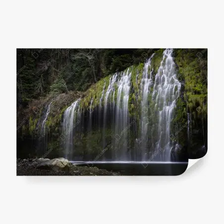 Wall mural mossy waterfall in forest • Wallissimo®