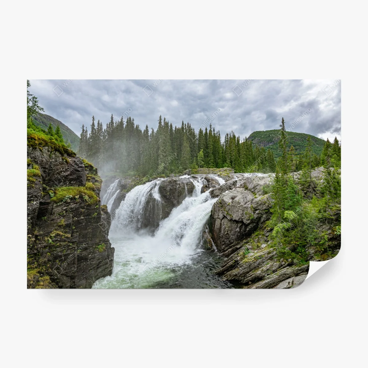 Wall mural misty waterfall in a lush pine forest • Wallissimo® Wall mural misty waterfall in a lush pine forest • Wallissimo®
