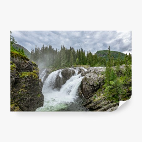 Wall mural misty waterfall in a lush pine forest • Wallissimo®