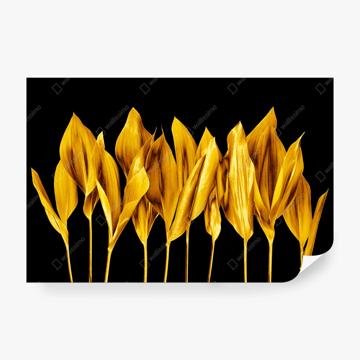Wall mural golden leaves on black background • Wallissimo®
