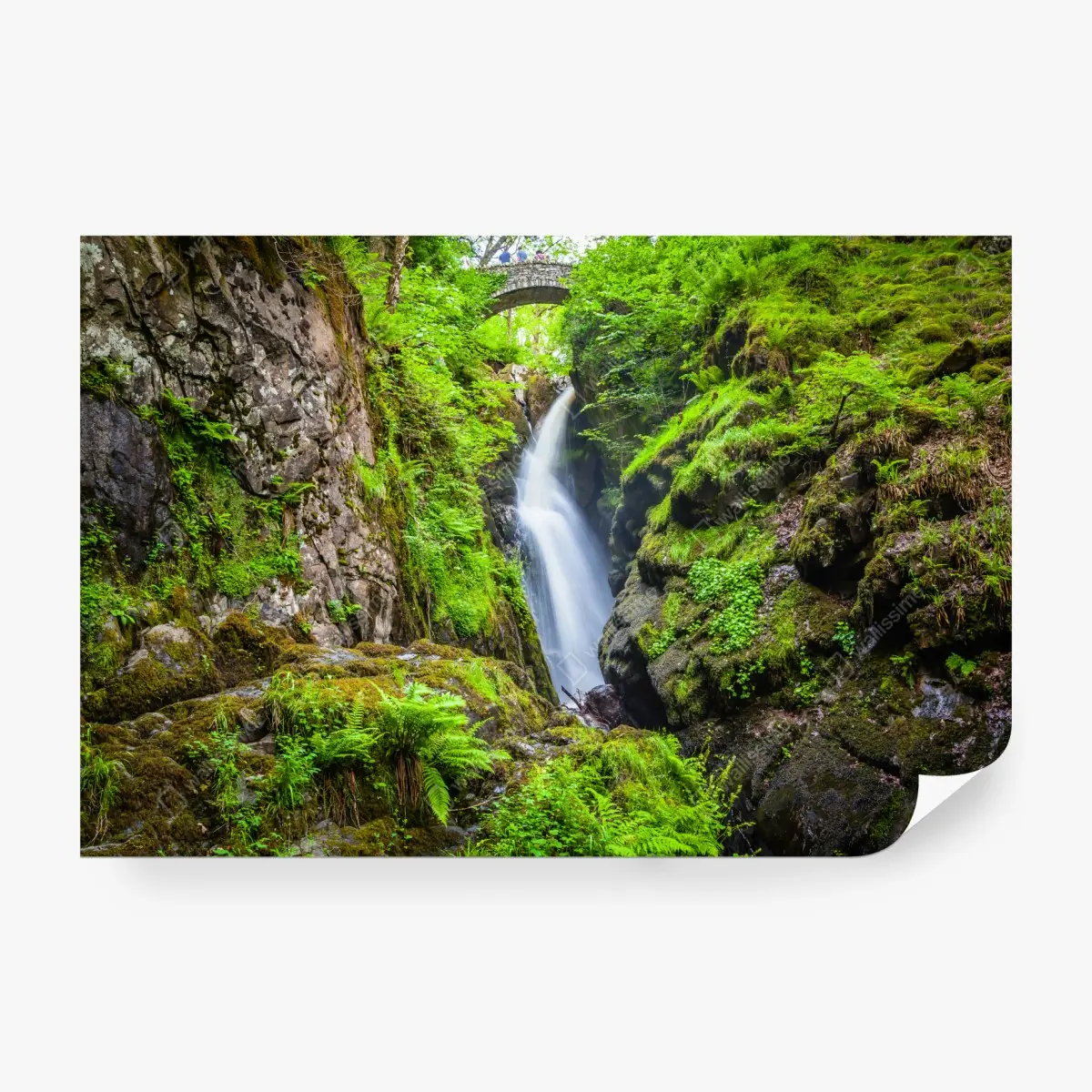 Wall mural mossy gorge waterfall with stone bridge • Wallissimo®