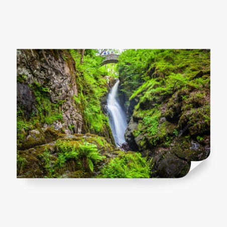 Wall mural mossy gorge waterfall with stone bridge • Wallissimo®