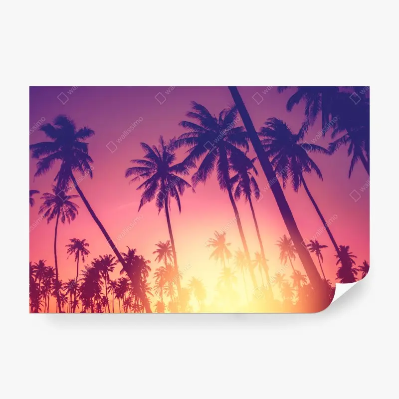 Wall mural tropical palm sunset silhouette