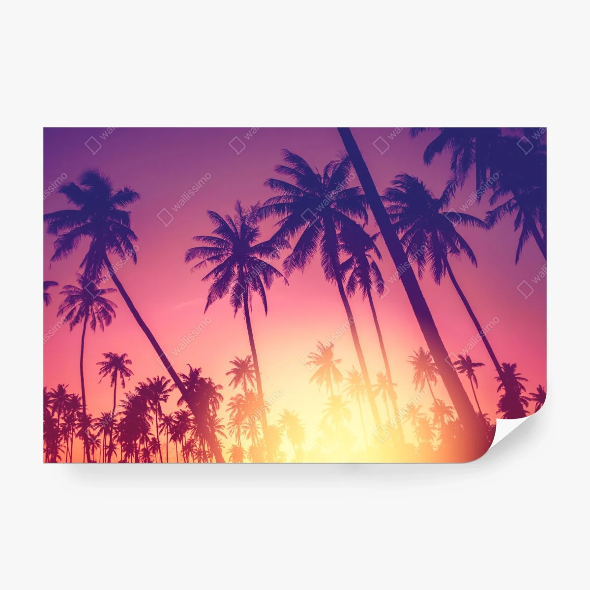 Wall mural tropical palm sunset silhouette • Wallissimo® Wall mural tropical palm sunset silhouette • Wallissimo®