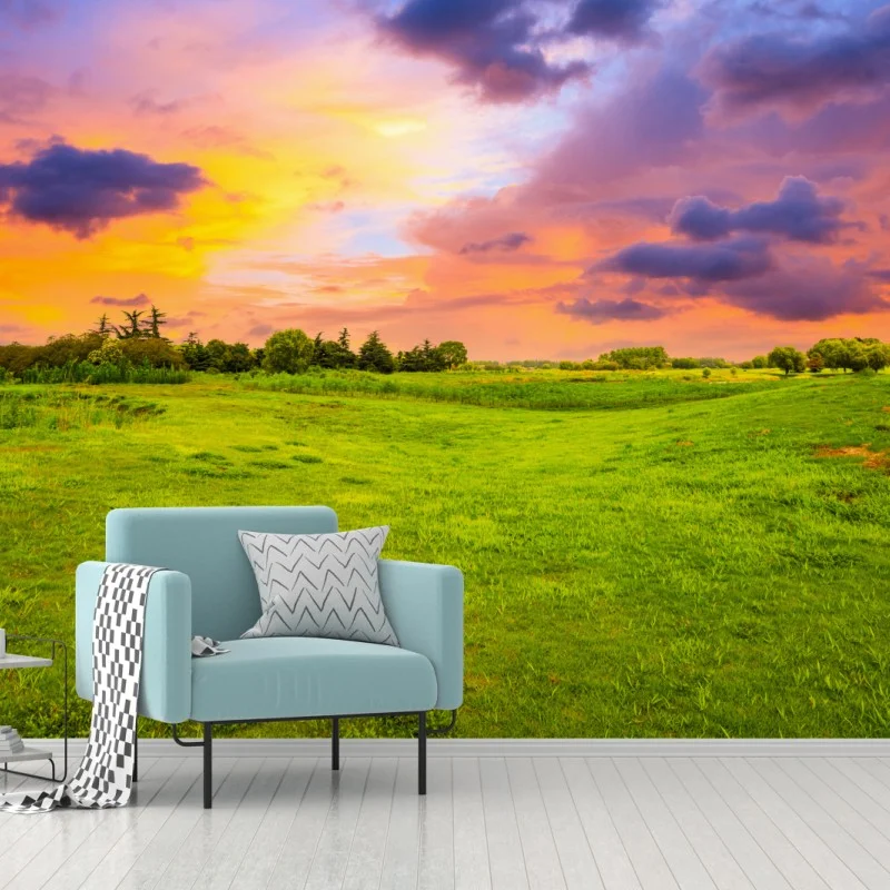 Wall mural sunset over green meadow