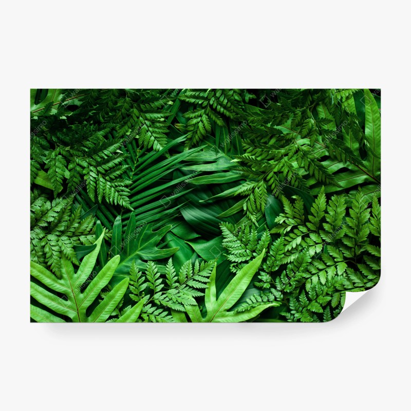 Wall mural lush green foliage pattern