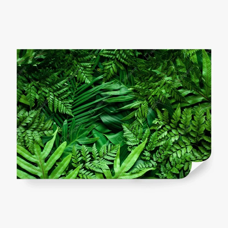 Wall mural Carpathian sunset over rolling green hills • Wallissimo®