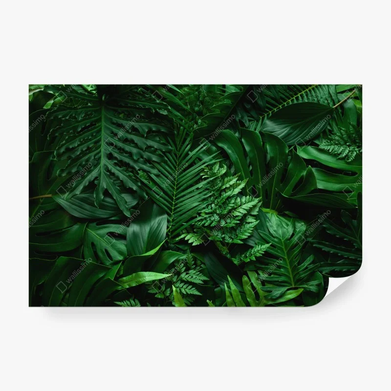 Wall mural lush tropical jungle leaves