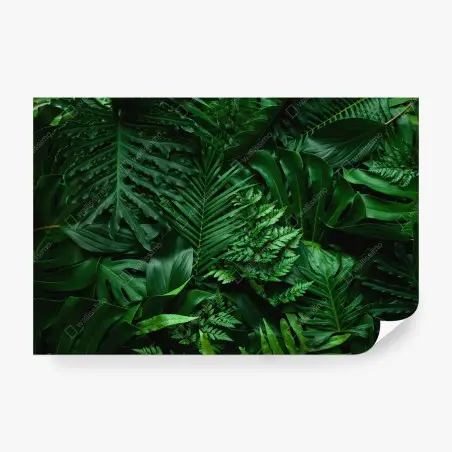 Wall mural lush tropical jungle leaves • Wallissimo®
