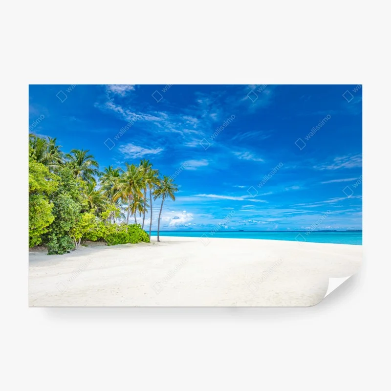 Wall mural tropical monstera leaf pattern • Wallissimo®