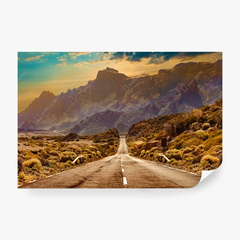 Wall mural road to the mountains in Tenerife