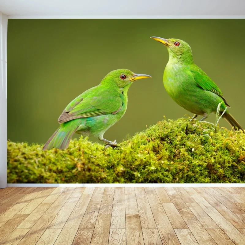 Wall mural vibrant green honeycreepers on moss