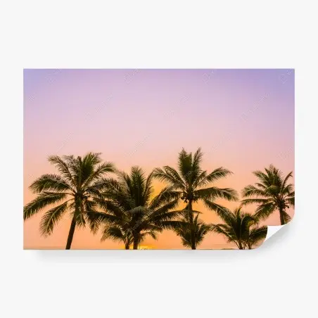 Wall mural tropical palm sunset at the beach • Wallissimo®