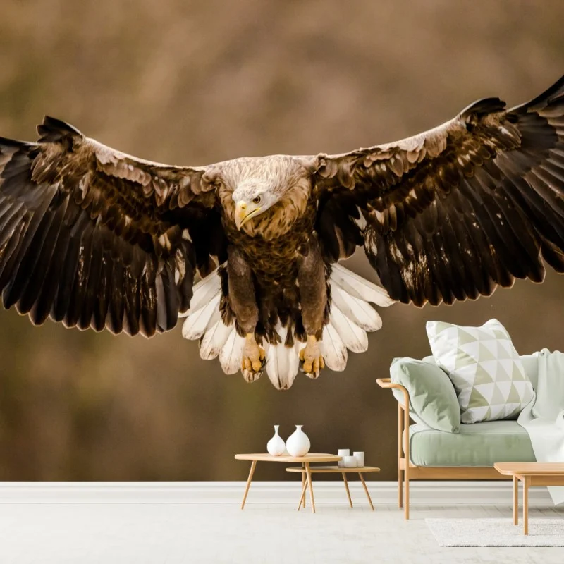 Wall mural majestic eagle in flight ⁕ Wallissimo® Wall mural majestic eagle in flight ⁕ Wallissimo®