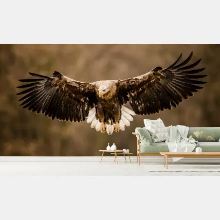 Wall mural majestic eagle in flight • Wallissimo®