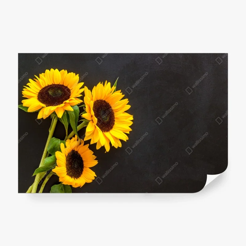 Wall mural sunflower bouquet on chalkboard background
