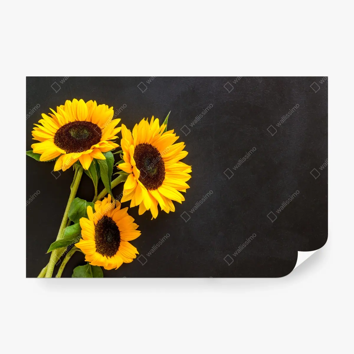 Wall mural sunflower bouquet on chalkboard background • Wallissimo®